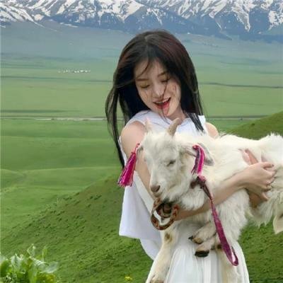 亚当斯一家的价值观